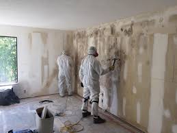 Best Mold Documentation for Insurance Claims  in Chittenango, NY